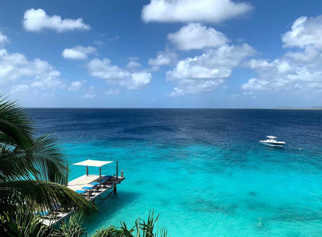 The Bellafonte Oceanfront Resort Bonaire Urlaub Tauchreisen Bonaire Tauchurlaub