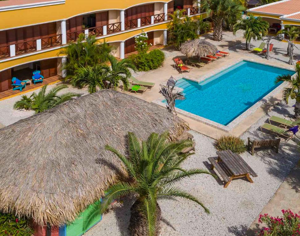 djambo bonaire karibik tauchurlaub urlaub
