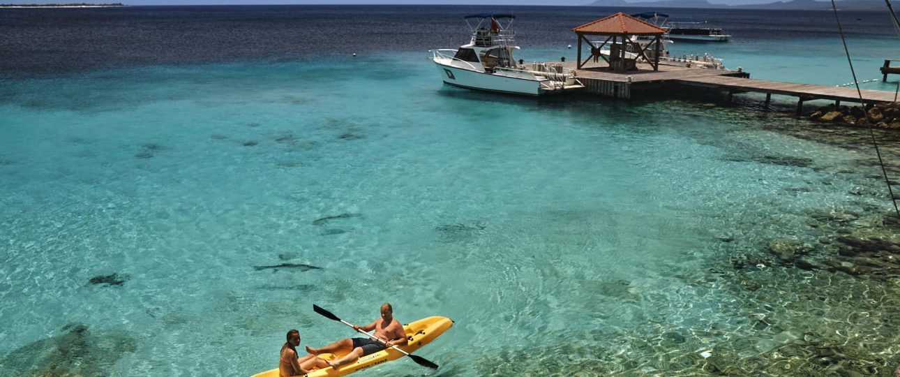 djambo bonaire karibik tauchurlaub urlaub