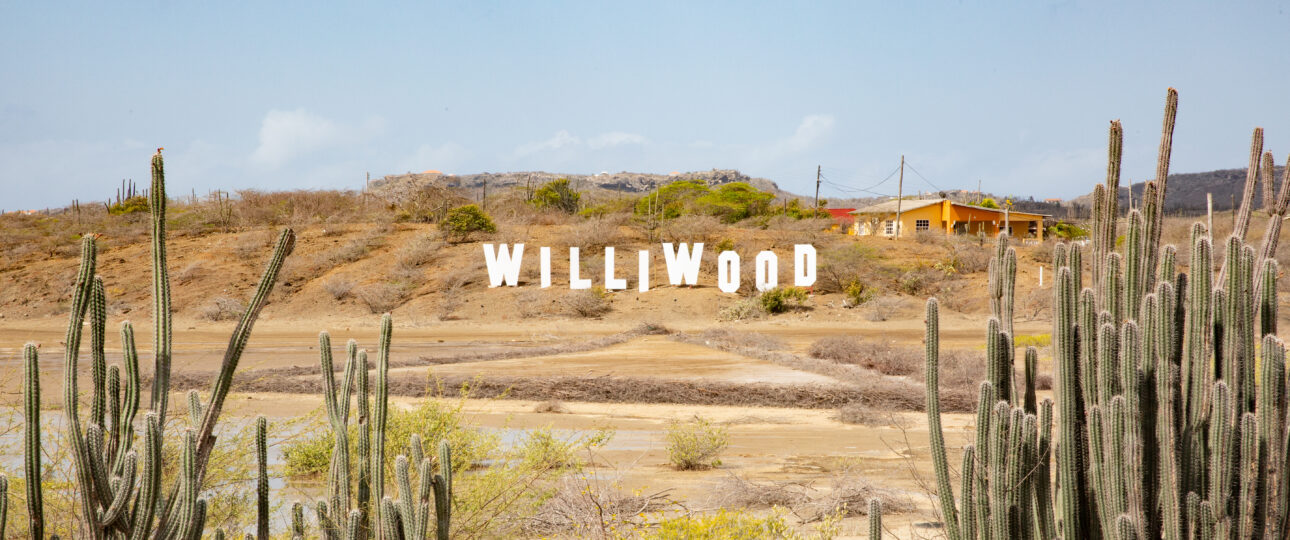 Wollywood sign Activities Curacao