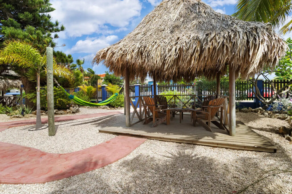 Blachi Koko Bonaire STrand tauch und windsurfurlaub auf bonaire