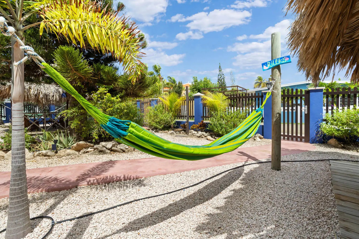 Blachi Koko Bonaire STrand tauch und windsurfurlaub auf bonaire