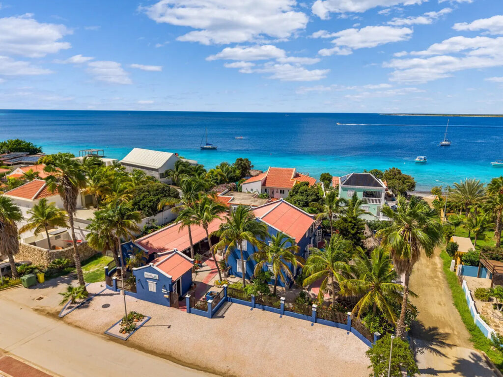 Blachi Koko Bonaire STrand tauch und windsurfurlaub auf bonaire