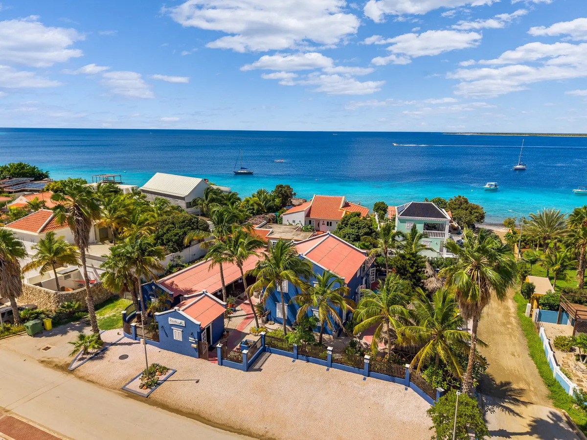 Blachi Koko Bonaire STrand tauch und windsurfurlaub auf bonaire