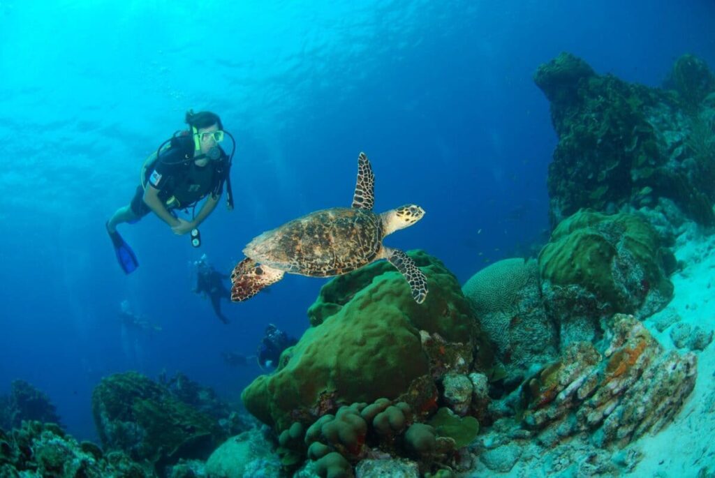 Lions dive drohne view Curacao Urlaub Diving Curacao Tauchurlaub Schnorcheln Curacao