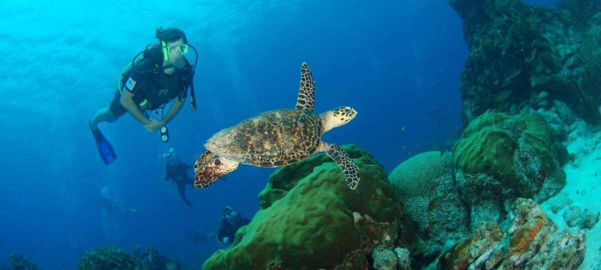 Lions dive drohne view Curacao Urlaub Diving Curacao Tauchurlaub Schnorcheln Curacao