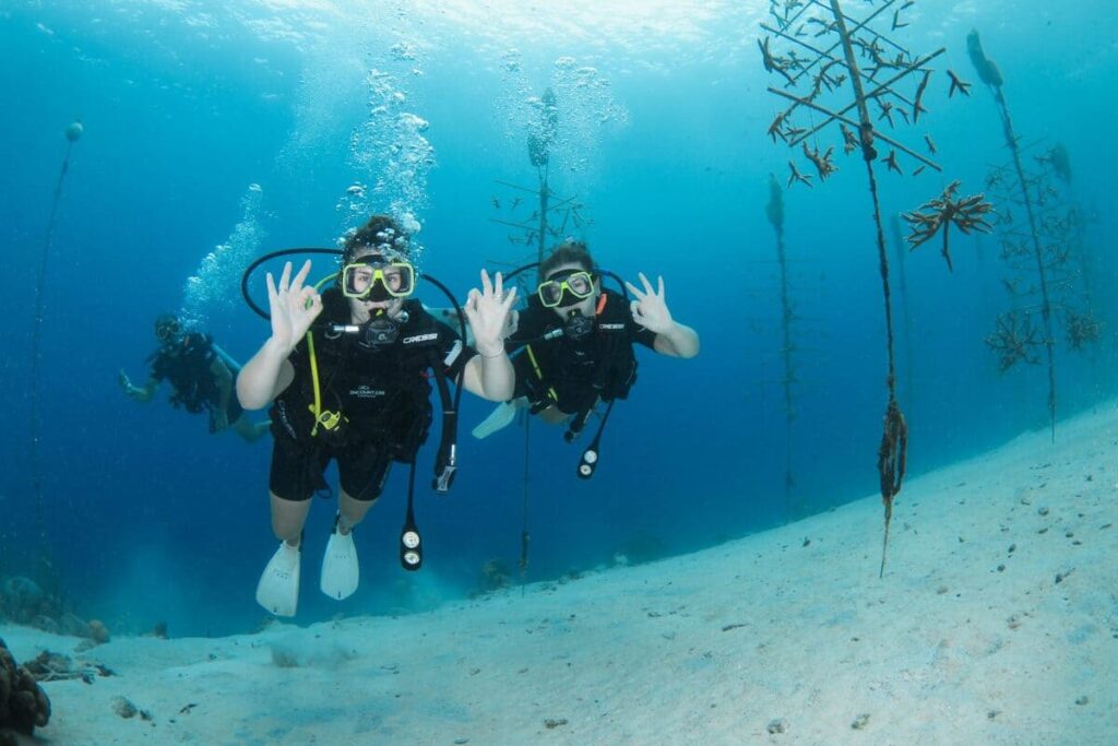 Lions dive drohne view Curacao Urlaub Diving Curacao Tauchurlaub