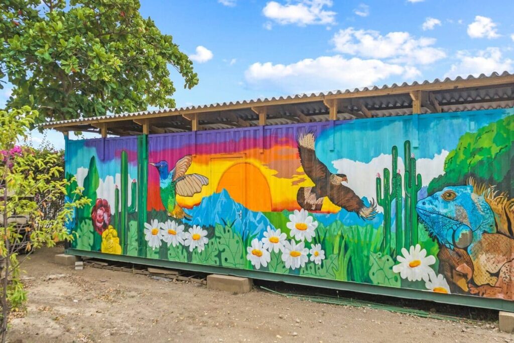 Murals Art Curacao Urlaub Tauchurlaub Curacao Karibik
