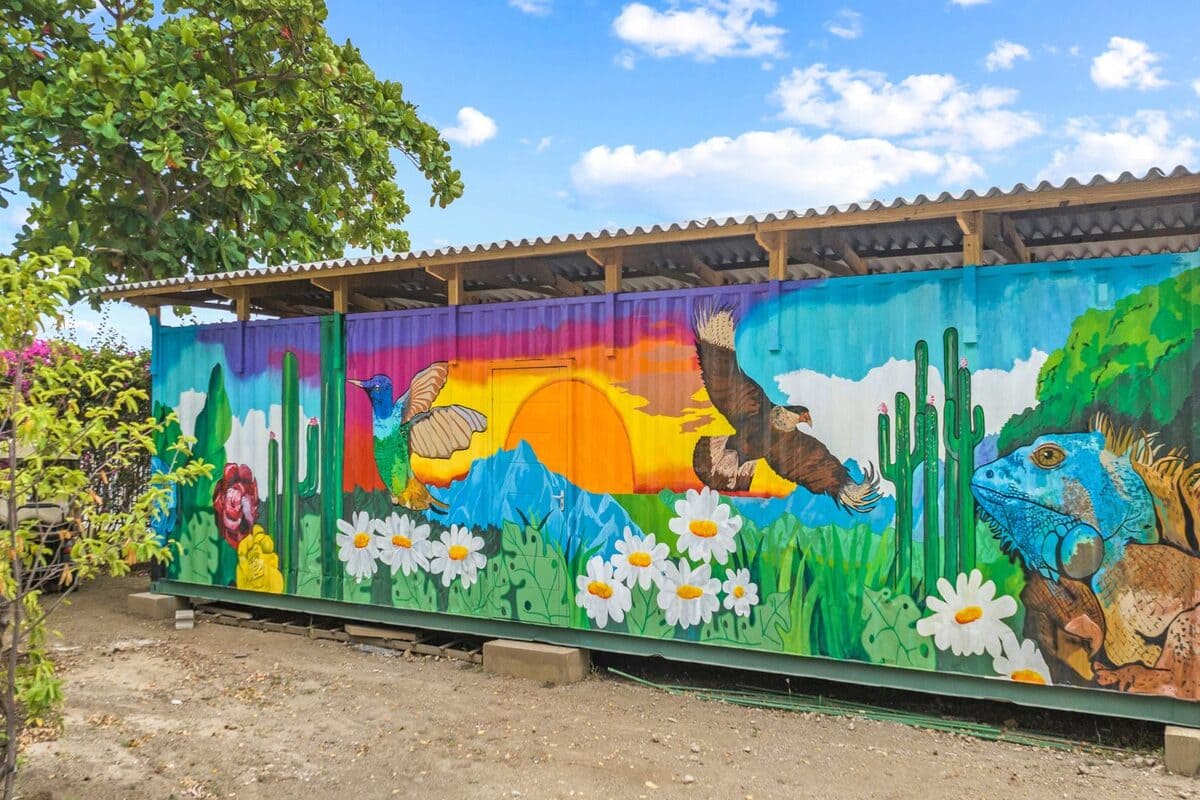Murals Art Curacao Urlaub Tauchurlaub Curacao Karibik