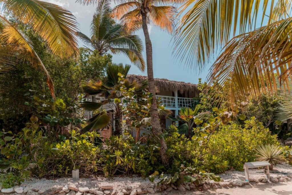 Sorobon Luxury Beach Resort Karibik Urlaub Surfurlaub Tauchurlaub windsurfurlaub kitesurfurlaub auf bonaire