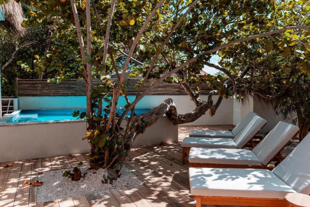 Sorobon Luxury Beach Resort Karibik Urlaub Surfurlaub Tauchurlaub windsurfurlaub kitesurfurlaub auf bonaire