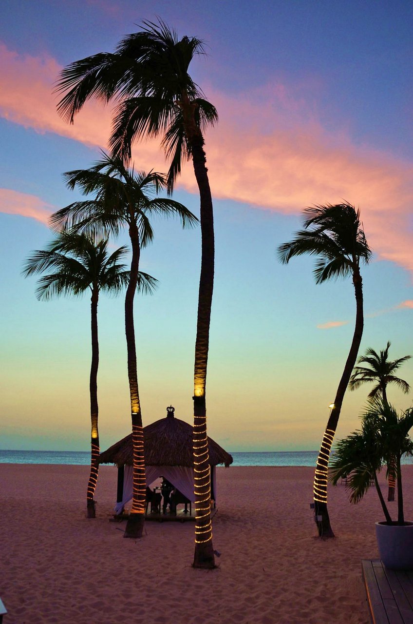 bucuti & tara beach resort aruba