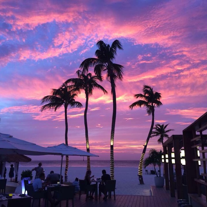 bucuti & tara beach resort aruba