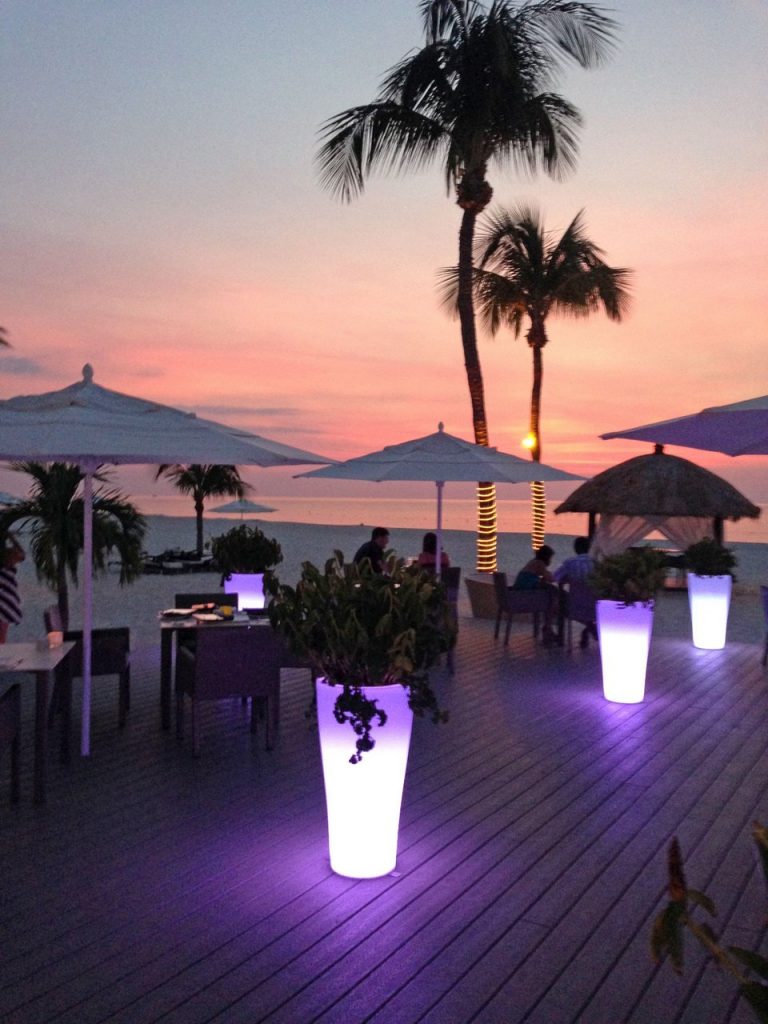 bucuti & tara beach resort aruba