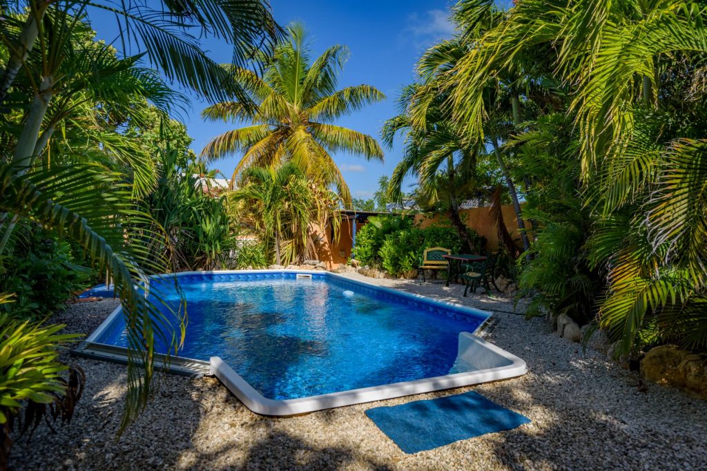 coco palm garden bonaire