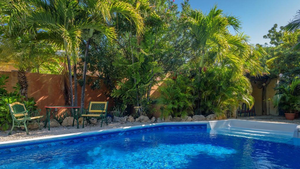 coco palm garden bonaire