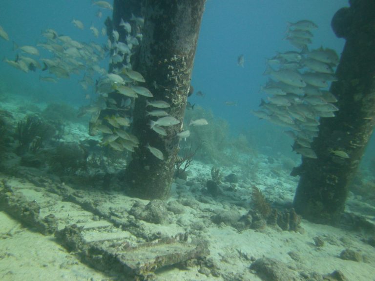 den laman hotel bonaire