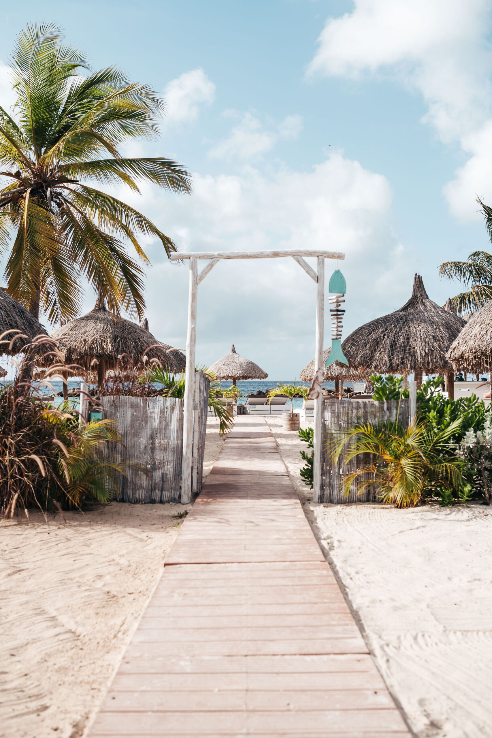 Kontiki Beach Resort Beach Front Suite
