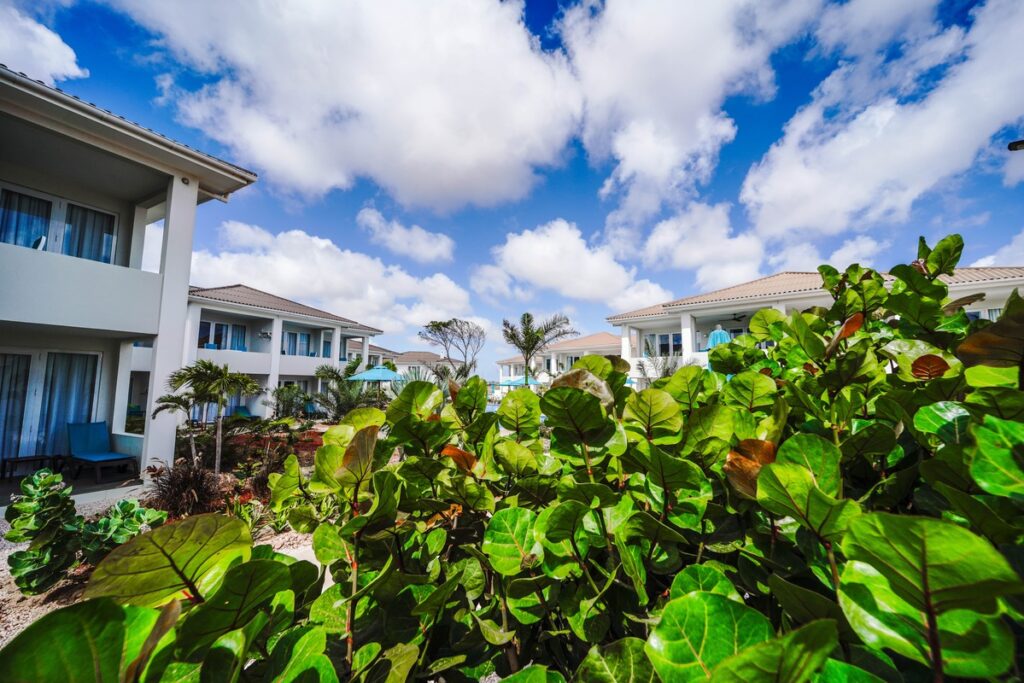 Bonaire Nature Bonaire Urlaub