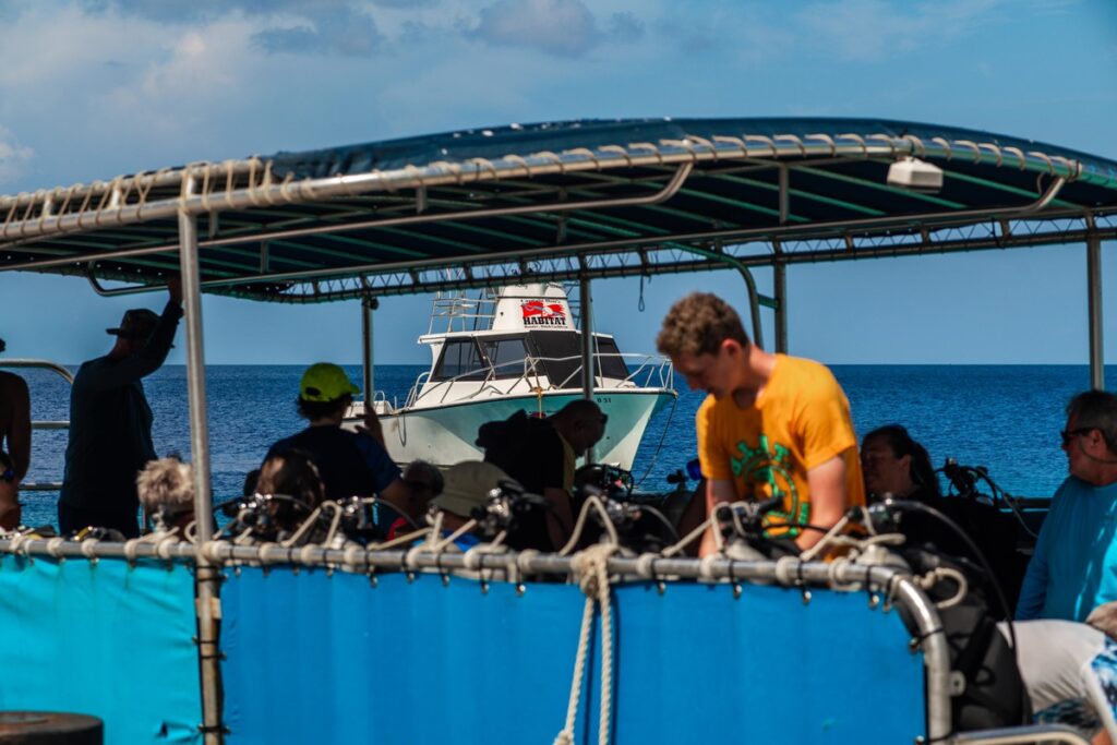 Bonaire Tauchen Vom Boot aus tauchreisen