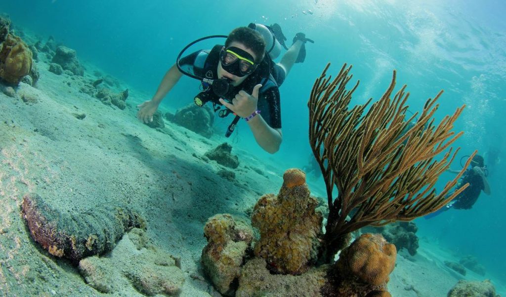 scuba lodge boutique hotel Strandurlaub Tauchen Curacao