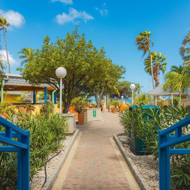 MVC Eagle Beach Resort Arub URlaub Tauchreisen Karibik