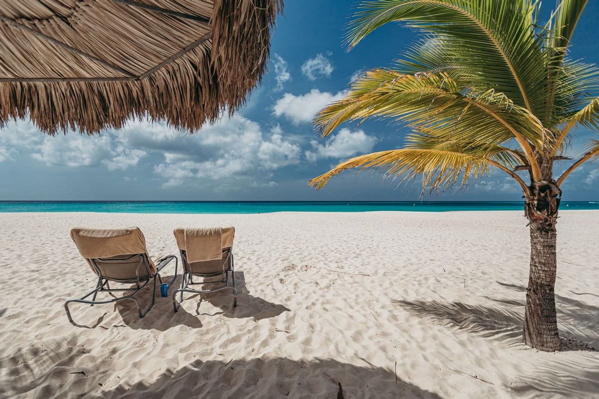 Manchebo Beach Resort Aruba Strandurlaub und Kitesurfurlaub auf aruba