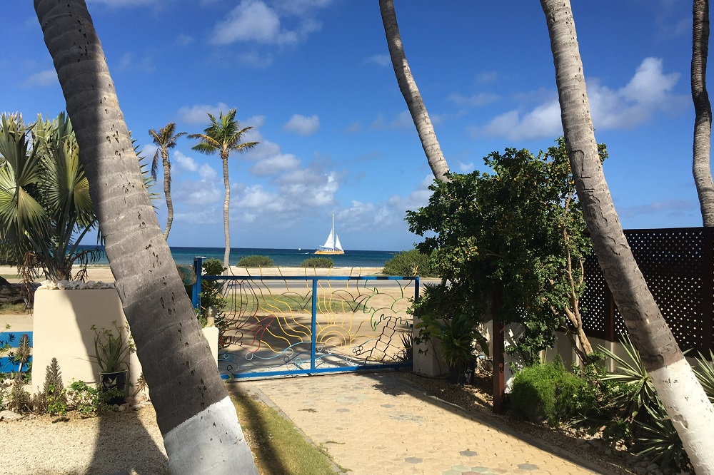 Sunset Beach Studios Aruba Urlaub mit Karibiksport Strandurlaub in der Karibik