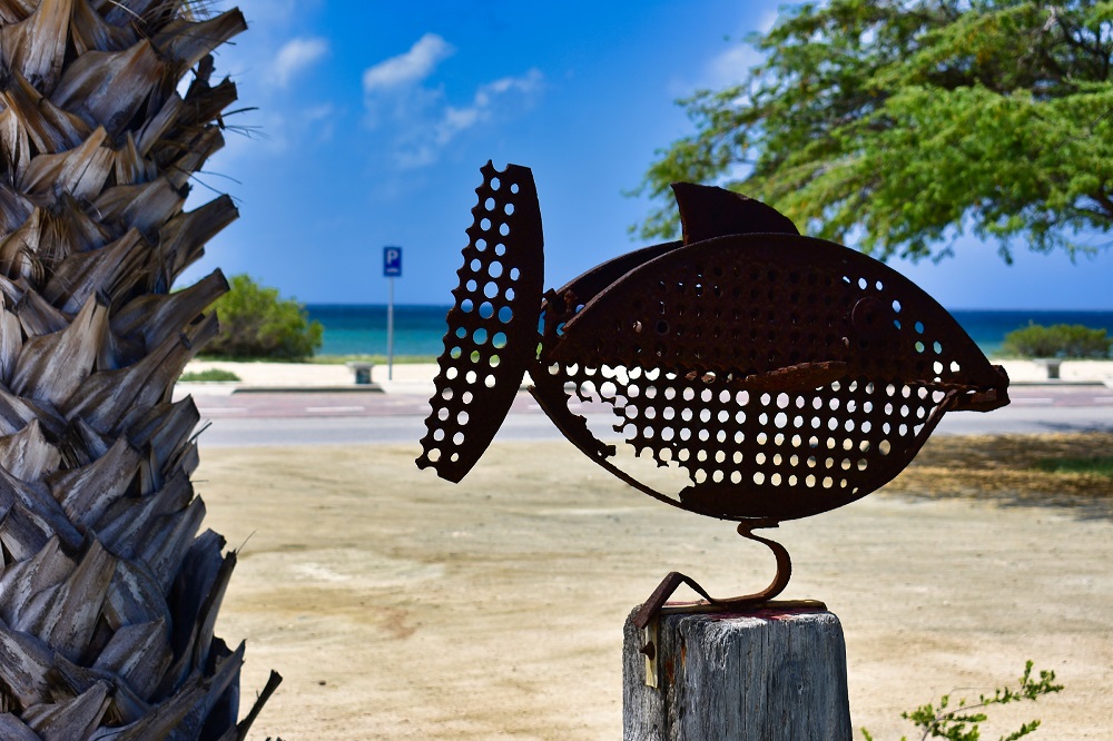 Sunset Beach Studios Aruba Urlaub mit Karibiksport Strandurlaub in der Karibik