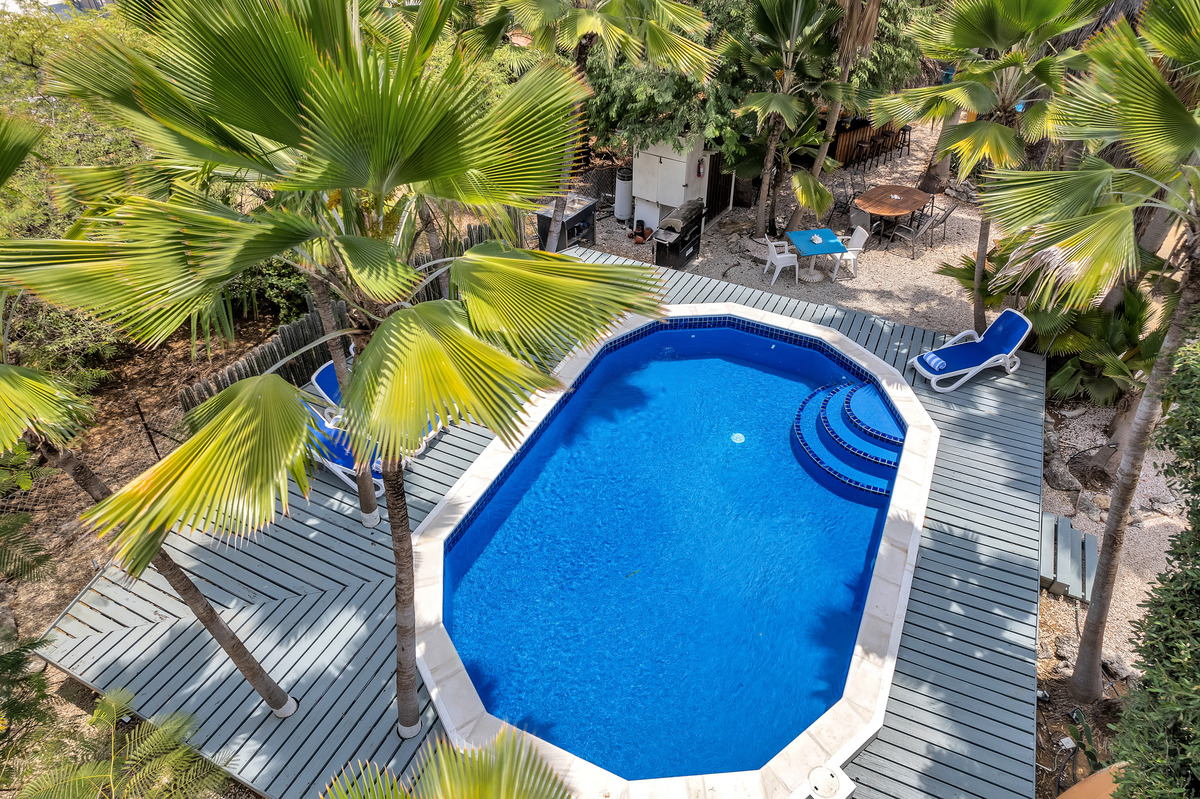 Tropical Inn Resort Bonaire Karibik Tauchreisen Tauchurlaub Bonaire Urlaub