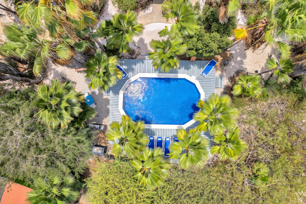 Tropical Inn Resort Bonaire Karibik Tauchreisen Tauchurlaub Bonaire Urlaub