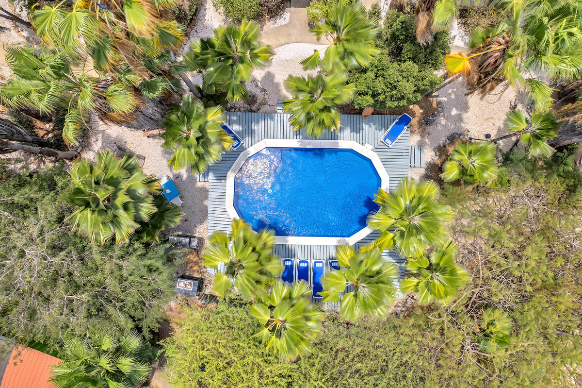 Tropical Inn Resort Bonaire Karibik Tauchreisen Tauchurlaub Bonaire Urlaub