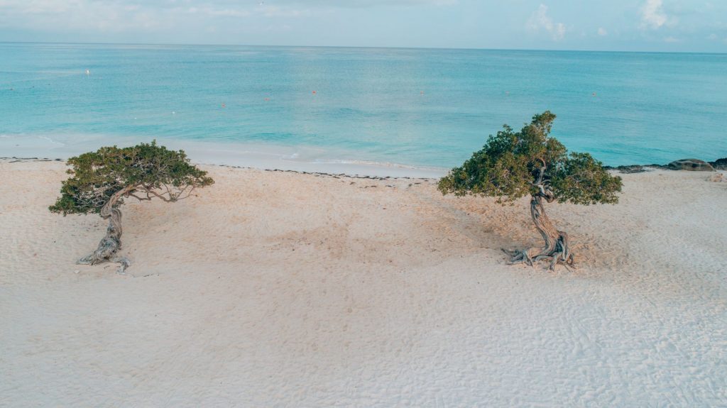 amsterdam manor beach resort aruba Strandurlaub Karibik