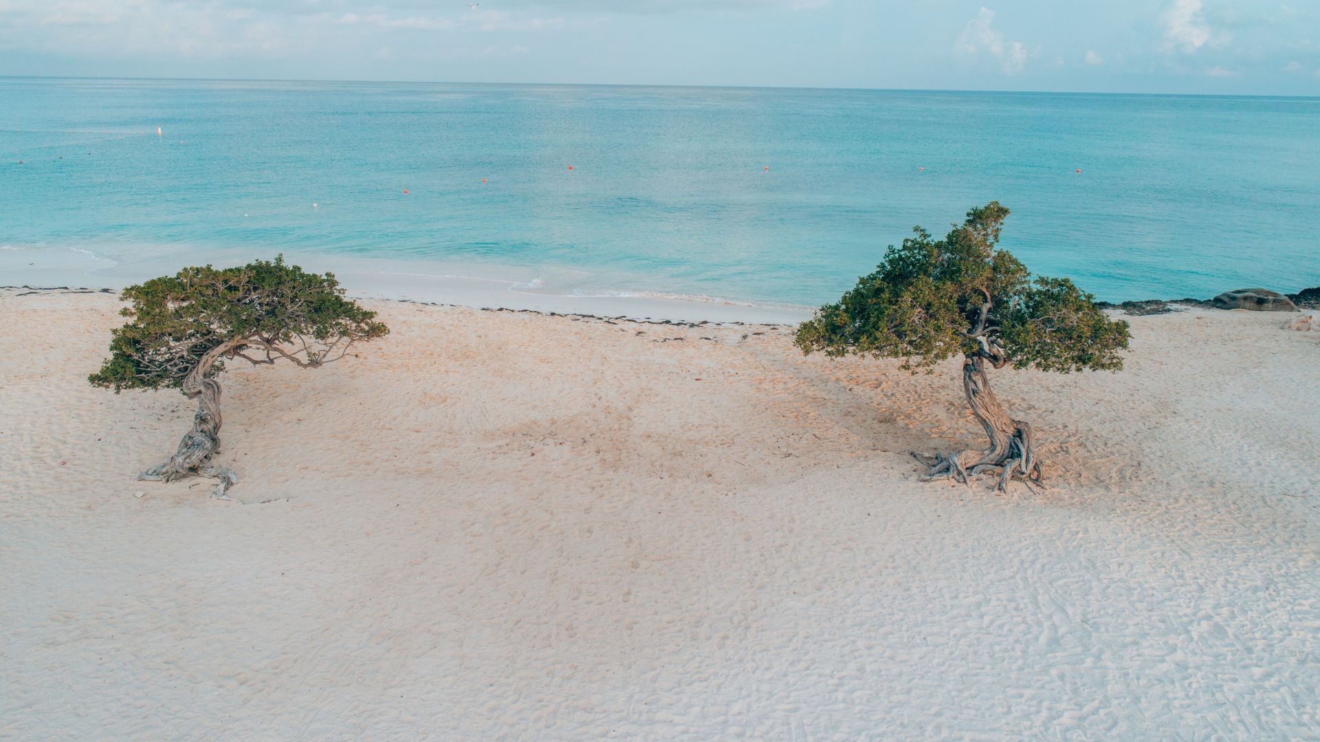 amsterdam manor beach resort aruba Strandurlaub Karibik