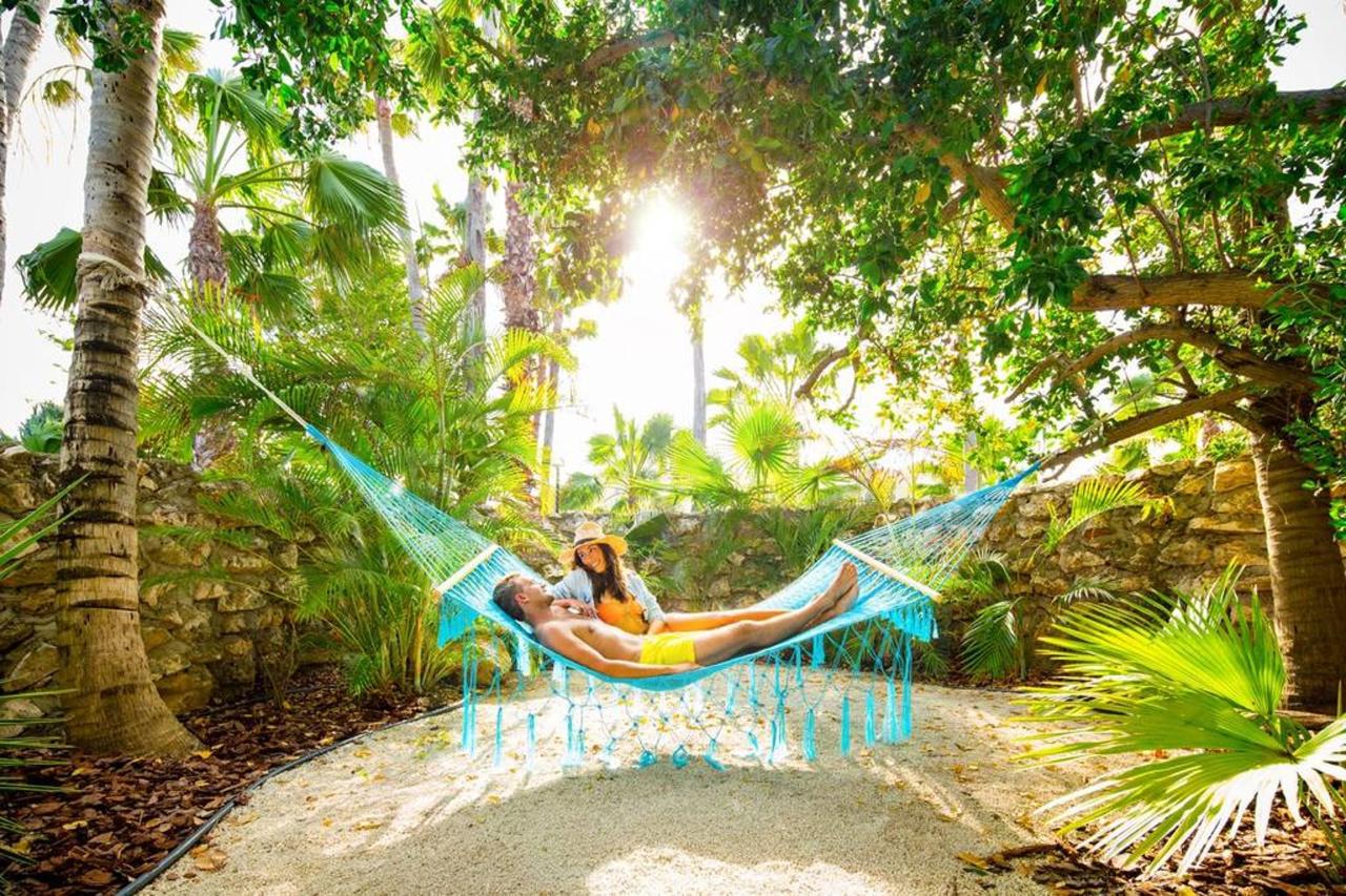 boardwalk boutique hotel aruba Karibik Reisen