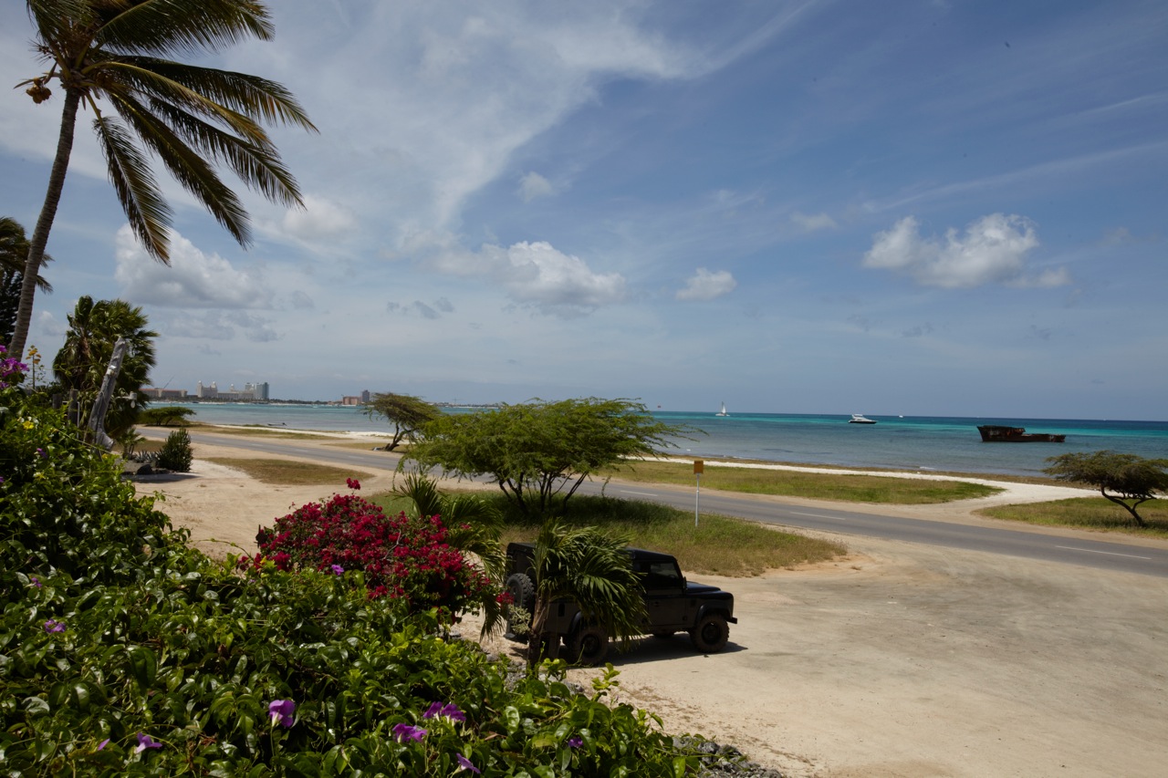 sunset beach studios aruba kitesurfen tauchen windsurfen