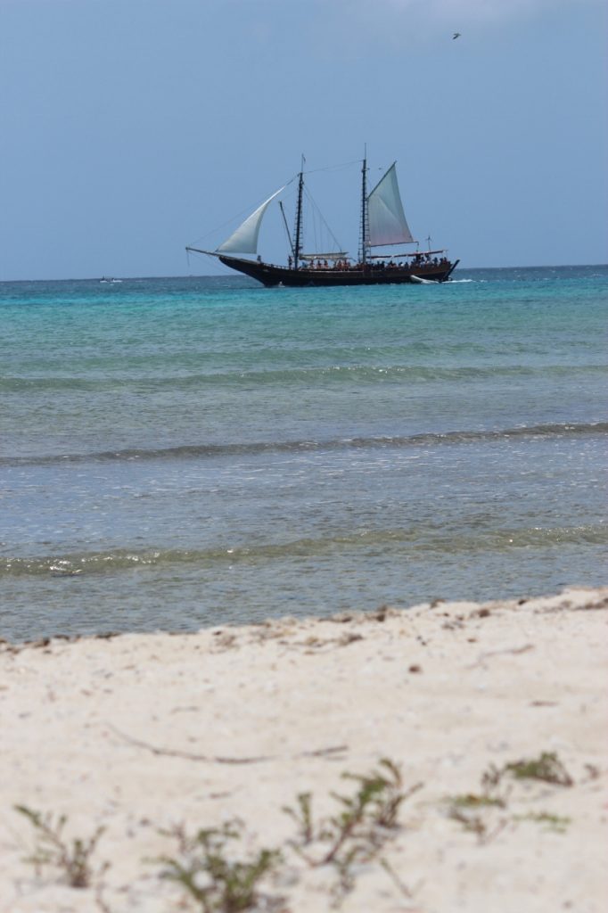 sunset beach studios aruba kitesurfen tauchen windsurfen