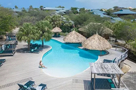 Pool Karibik Curacao Tauchen Curacao Urlaub