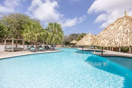 Pool Karibik Curacao Tauchen Curacao Urlaub