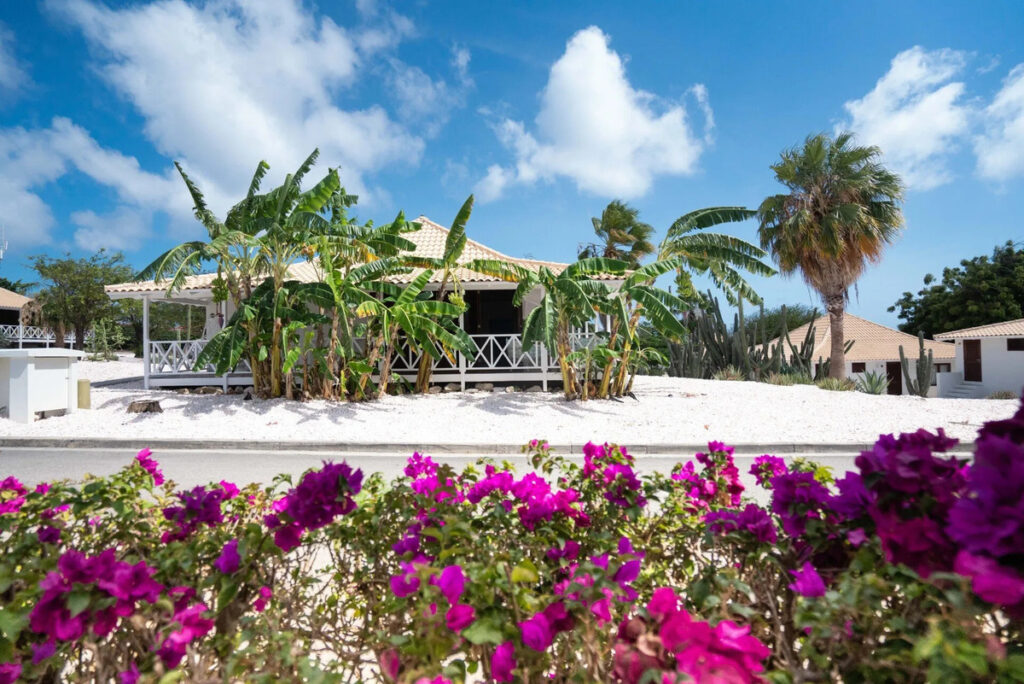 Papagayo Beach Resort Urlaub Auf Curacao Tauchreisen in die Karibik Luxus Gruppenreisen