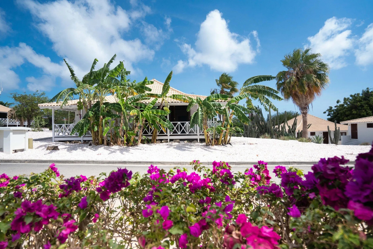 Papagayo Beach Resort Urlaub Auf Curacao Tauchreisen in die Karibik Luxus Gruppenreisen