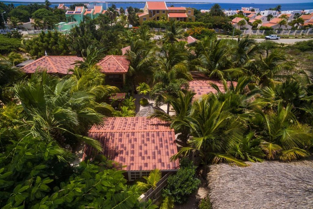 Bamboo Bali Boutique Resort Bonaire Tauchreisen Windsurfen Kitesurfen Karibik