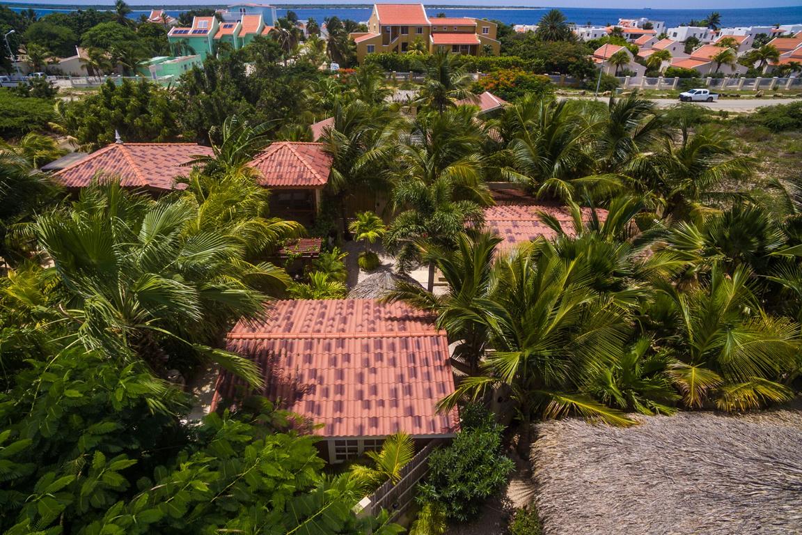 Bamboo Bali Boutique Resort Bonaire Tauchreisen Windsurfen Kitesurfen Karibik