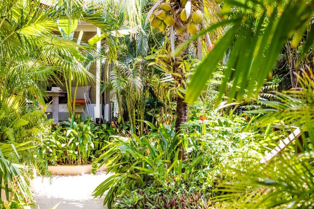 Bamboo Bali Boutique Resort Bonaire Tauchreisen Windsurfen Kitesurfen Karibik