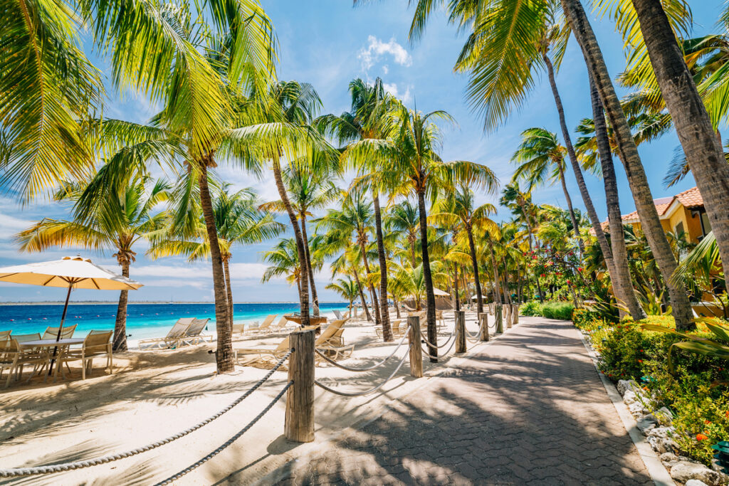Harbour Village Bonaire Karibik Urlaub Tauchen SUites Luxusurlaub Tauchreisen
