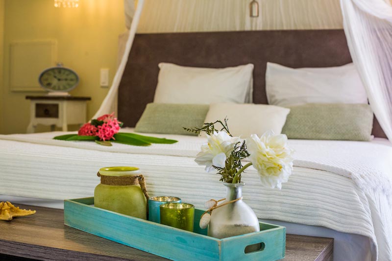 Bamboo Bali Bonaire Tauchreisen Karibik Karibik Urlaub