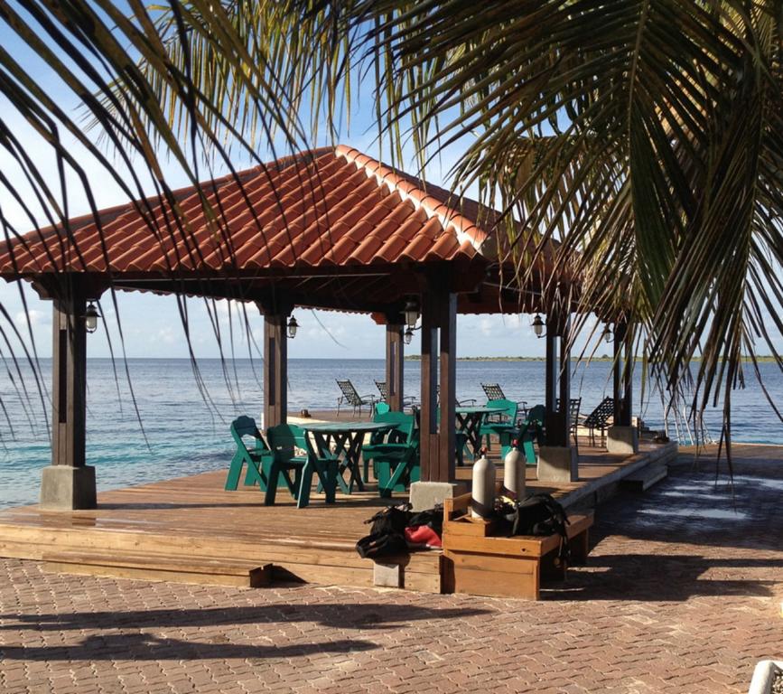 Harbour Village Bonaire Karibik Urlaub Tauchen