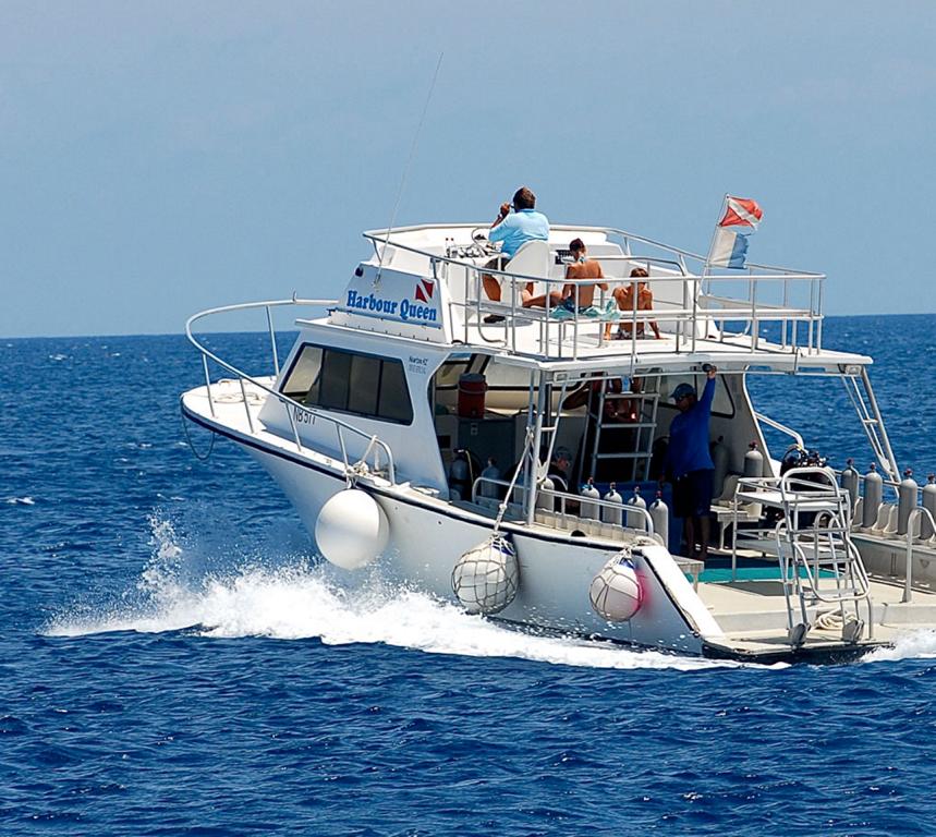 Harbour Village Bonaire Karibik Urlaub Tauchen