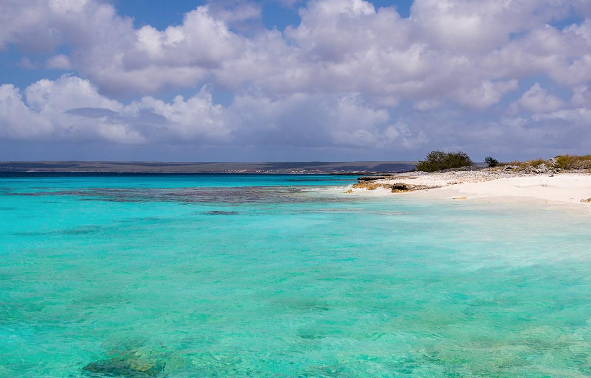 Harbour Village Bonaire Karibik Urlaub Tauchen