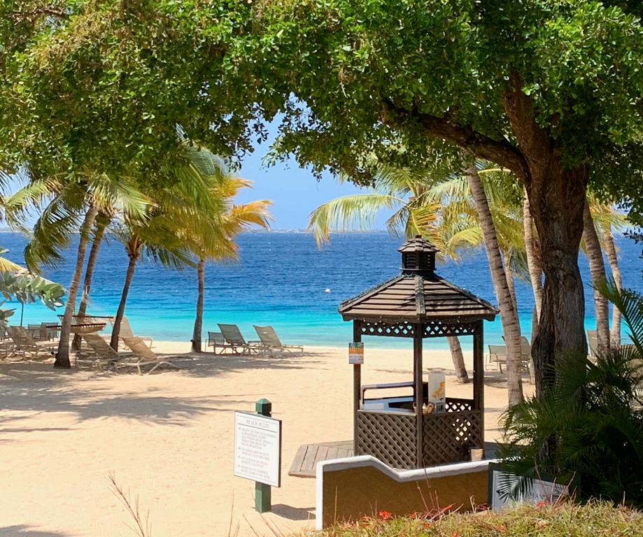 Harbour Village Bonaire Karibik Urlaub Tauchen